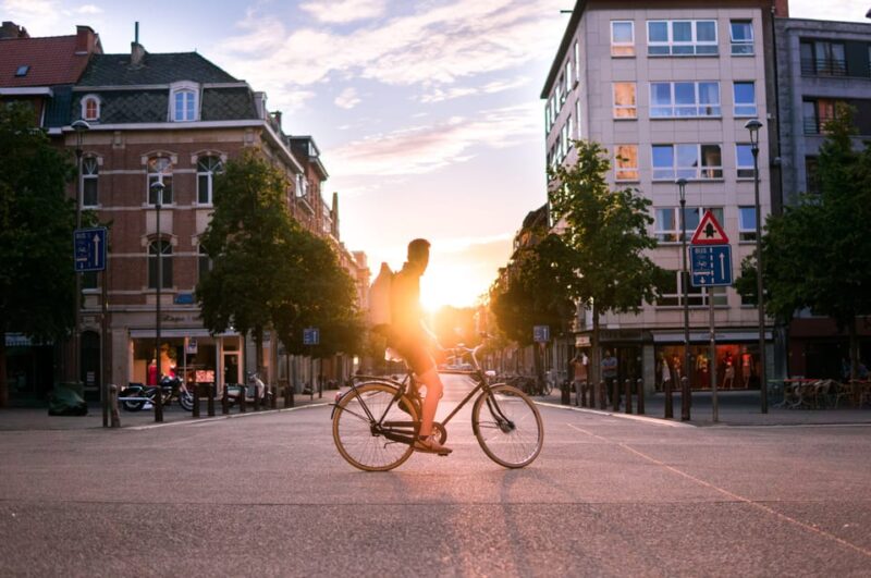 Leuven Private Walking Tour - Historical Insights