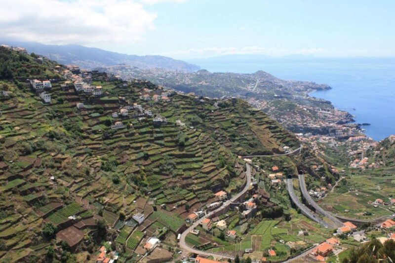 Levada Boa Morte - Quinta Grande Half Day - Easy Walk - Participant Restrictions