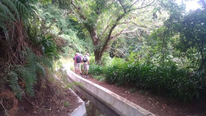 Levada Boa Morte - Quinta Grande Half Day - Easy Walk - Inclusions