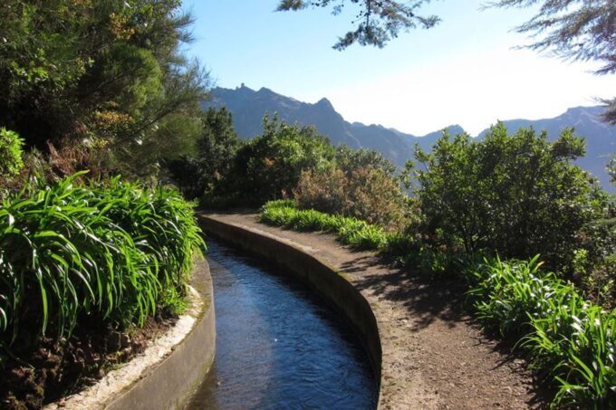 Levada Boa Morte - Quinta Grande Half Day - Easy Walk - Frequently Asked Questions