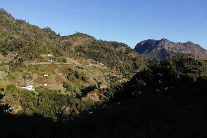 Levada Da Referta - Castelejo - Discover Madeiras Scenery