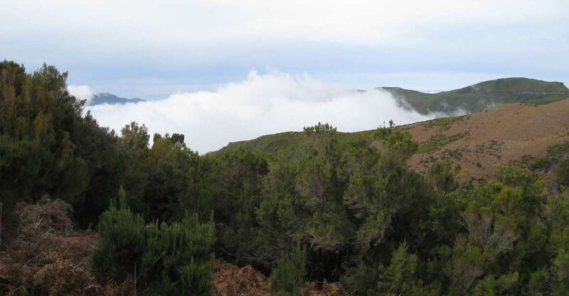 Levada Do Alecrim (Madeira Lakes) Full-Day Walk - Booking Information