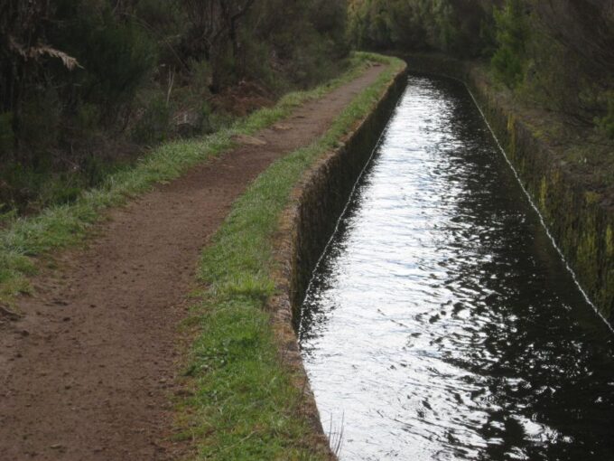 Levada Do Alecrim (Madeira Lakes) Full-Day Walk - Tour Inclusions