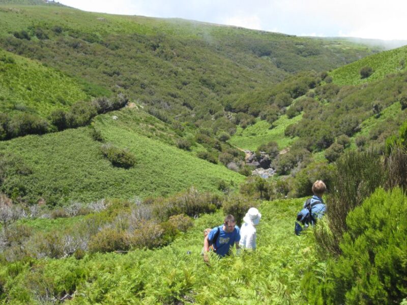 Levada Do Alecrim (Madeira Lakes) Full-Day Walk - Route Description
