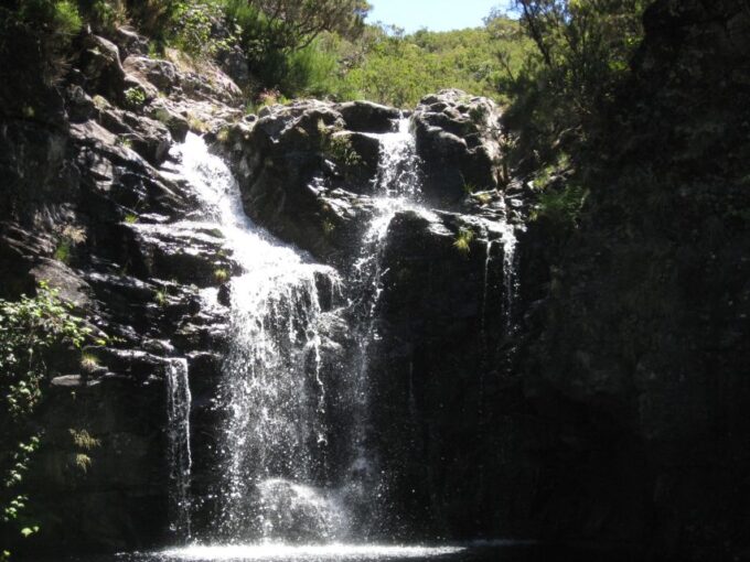 Levada Do Alecrim (Madeira Lakes) Full-Day Walk - Tour Inclusions