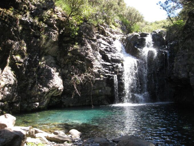 Levada Do Alecrim (Madeira Lakes) Full-Day Walk - Frequently Asked Questions