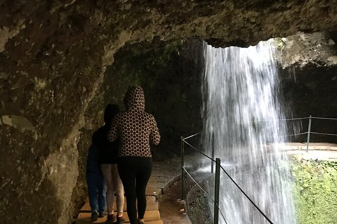 Levada Do Moinho and Levada Nova (Private) - Tour Experience Highlights