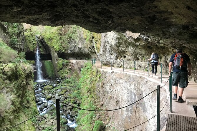 Levada Do Moinho and Levada Nova (Private) - Knowledgeable and Personable Guide