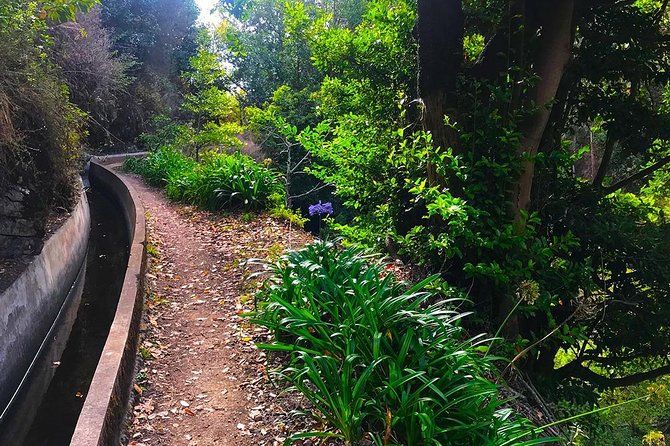 Levada Do Norte - Walking Tour - Madeiras Highlights