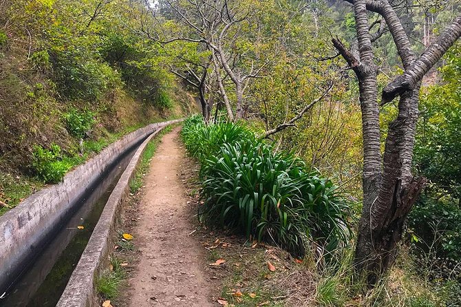 Levada Do Norte - Walking Tour - Hiking Experience