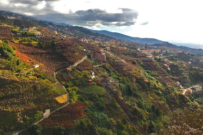 Levada Do Norte - Walking Tour - Booking Information