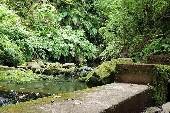 Levada Do Rei - Ribeiro Bonito (Full Day Walk) - Scenic Route Details