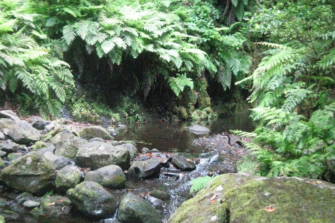 Levada Do Rei - Ribeiro Bonito (Full Day Walk) - Transport and Pickup