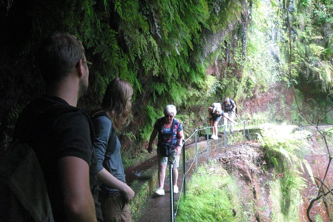 Levada Do Rei - Ribeiro Bonito (Full Day Walk) - Group Size and Pricing