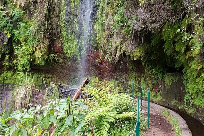 Levada Do Rei - Ribeiro Bonito (Full Day Walk) - Additional Information