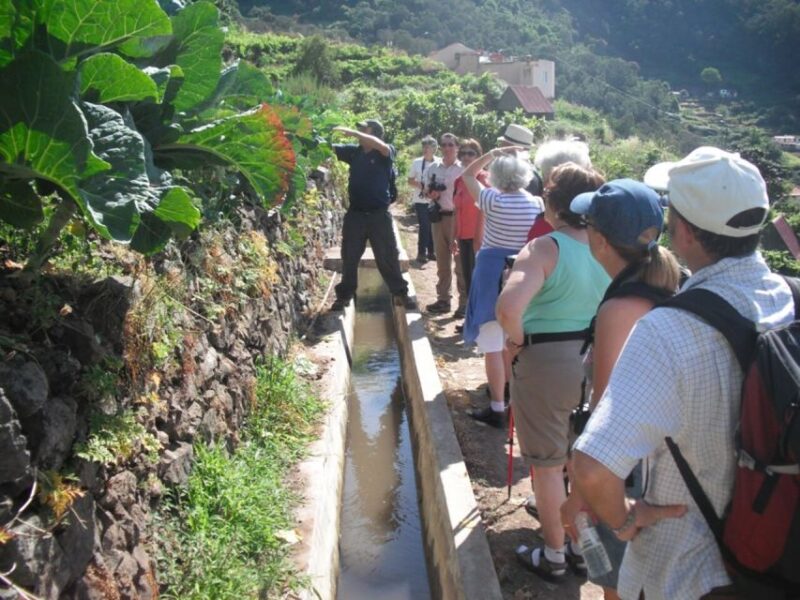 Levada Dos Maroços - Half Day - Easy Walk - Key Points