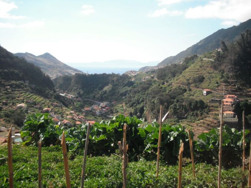 Levada Dos Maroços - Half Day - Easy Walk - Group Size and Languages