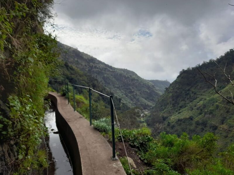 Levada Nova - Mill's Path by Overland Madeira - Discovering Madeiras Laurissilva Forest