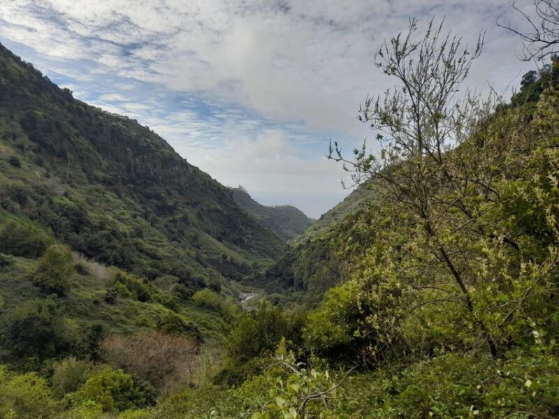 Levada Nova - Mill's Path by Overland Madeira - Hiking the Scenic Mills Path