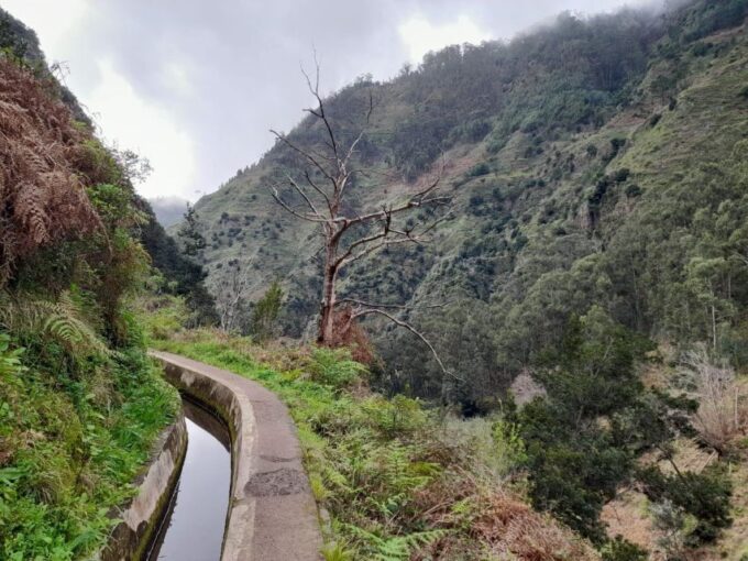 Levada Nova - Mill's Path by Overland Madeira - Inclusions and Pickup/Drop-off Services
