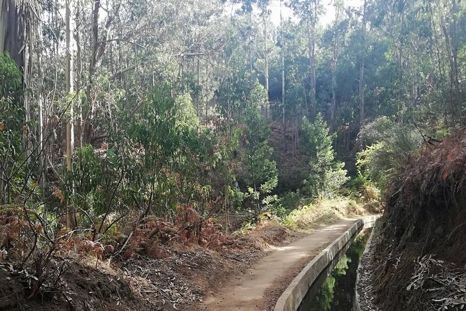 Levada Serra D'Água - Key Points