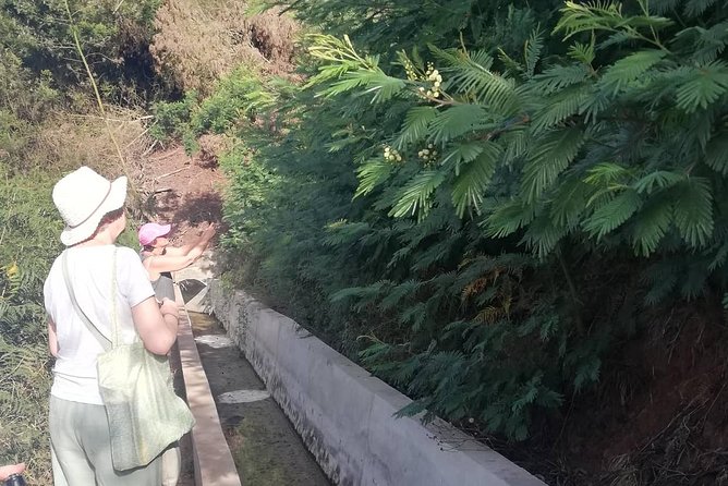 Levada Serra D'Água - Inclusions and Accessibility