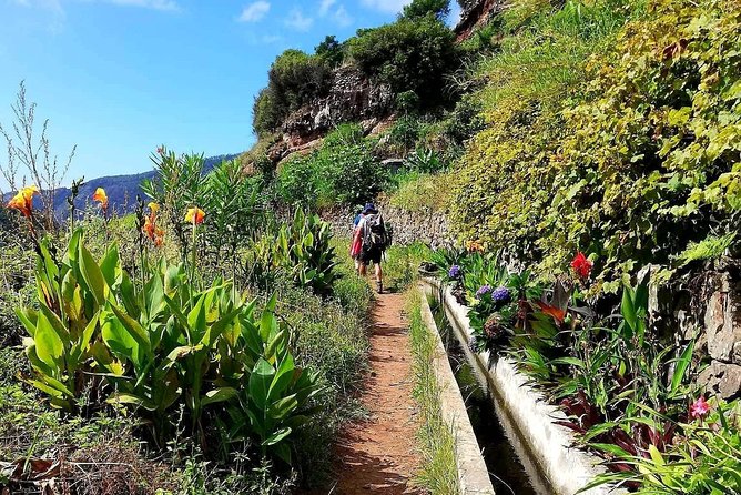 Levada Serra D'Água - Participant Enthusiasm for Future Walks