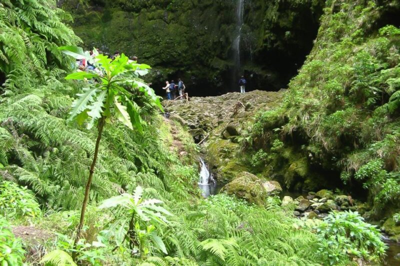 Levada Walk and Caldeirao Verde Waterfalls: Madeira - Key Points