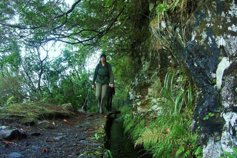 Levada Walk and Caldeirao Verde Waterfalls: Madeira - Highlights and Experiences