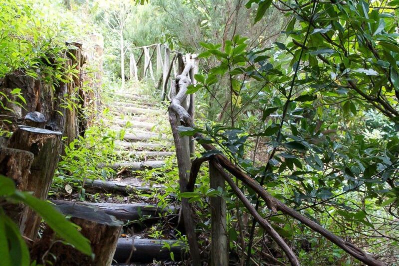 Levada Walk and Caldeirao Verde Waterfalls: Madeira - Participant Guidelines