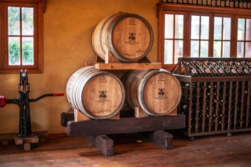 Levada Walk, Cider Tasting & Lunch - Important Information