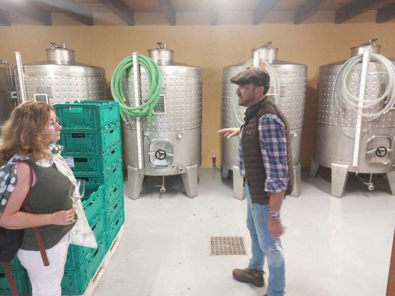 Levada Walk, Cider Tasting & Lunch - Cider Production Details