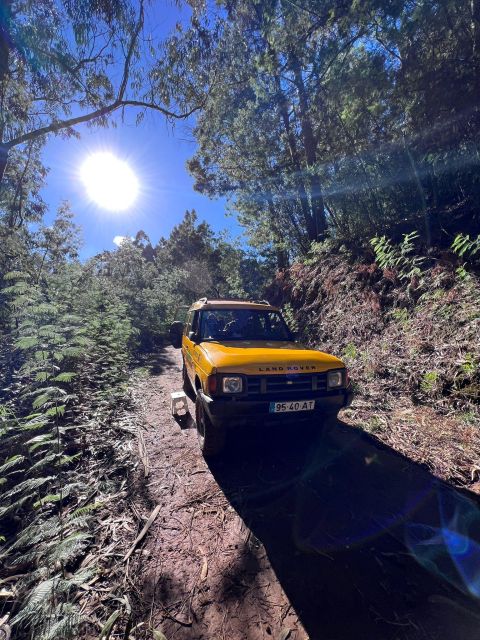 Levada Walk East Santana Full-Day Jeep Tour, Pico Do Arieiro - Viewpoints