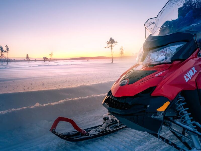 Levi: 1 Hour Easy Snowmobile - Scenic Safari Through Levis Arctic Forest