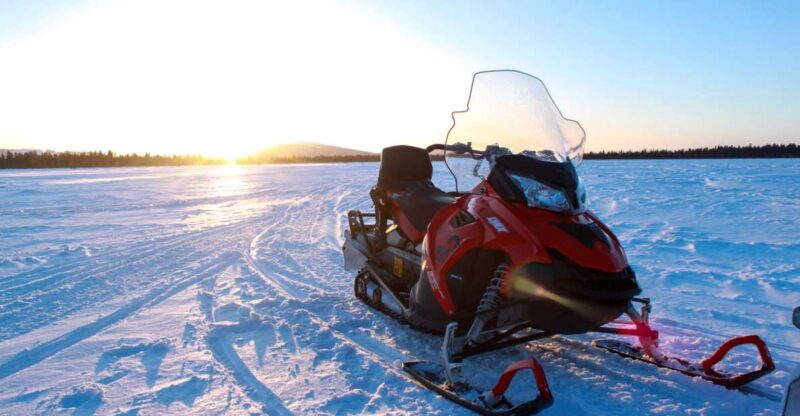Levi: 3 Hour Snowmobile Safari Around Levi With Coffee Break - Activity Overview