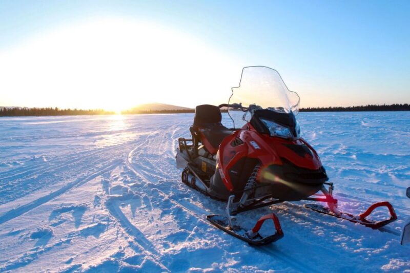 Levi: 3 Hour Snowmobile Safari Around Levi With Coffee Break - Availability and Pricing
