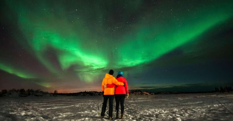 Levi: Aurora Borealis Bus & Snowshoe Tour With Hot Drink - Inclusions