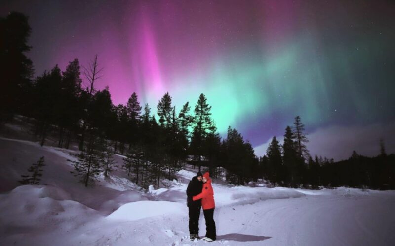 Levi: Aurora Borealis Bus & Snowshoe Tour With Hot Drink - Customer Reviews