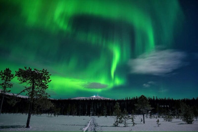 Levi: Aurora Borealis Bus & Snowshoe Tour With Hot Drink - Chasing the Northern Lights
