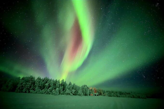 Levi: Aurora Borealis Bus & Snowshoe Tour With Hot Drink - Snowshoeing Across the Lake