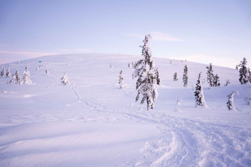 Levi: Backcountry Skiing Adventure - Tour Overview and Pricing