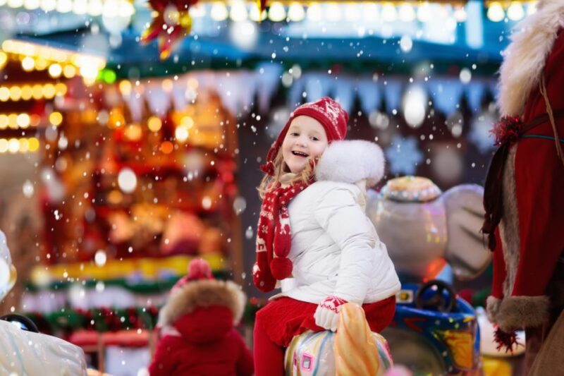 Levi: Day Trip to Santa Claus Village With Lunch - Participant Information