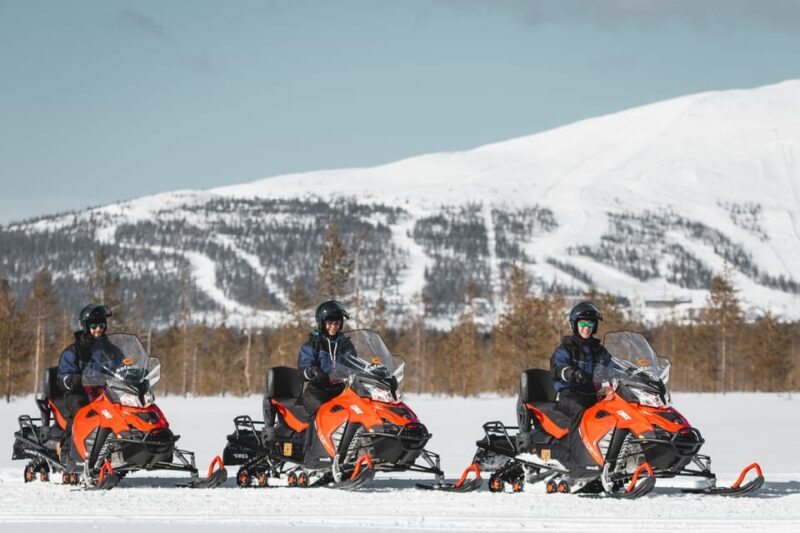 Levi: Easy Snowmobile Safari Into the Nature - Experience Highlights