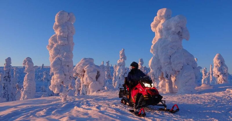 Levi: Evening Snowmobile Safari - Activity Overview