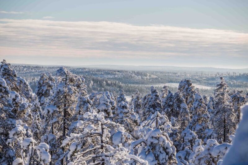 Levi: Explore the Wilderness - Pallas-Ylläs National Park