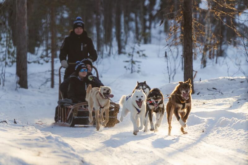 Levi: Follow the Elves – One Day Husky Safari - Good To Know