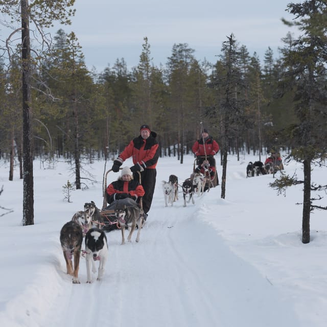 Levi: Follow the Elves – One Day Husky Safari - Itinerary Details