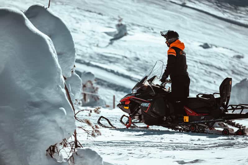 Levi: Full Day Snowmobile Safari to Wilderness - Experience Highlights