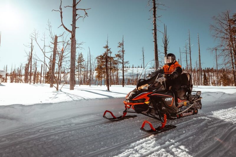 Levi: Full Day Snowmobile Safari to Wilderness - Participation Minimums