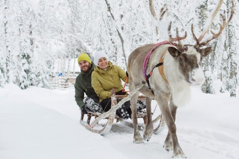 Levi: Lapland Reindeer and Husky Safari - Inclusions and Exclusions